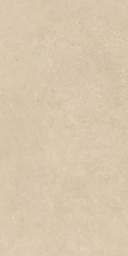AUTHENTIC DORDOGNE SILK MATTE 60x120 RET