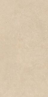 AUTHENTIC DORDOGNE SILK MATTE 60x120 RET
