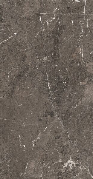 HERITAGE LUXE BROWN MATTE SILK 60X120 R