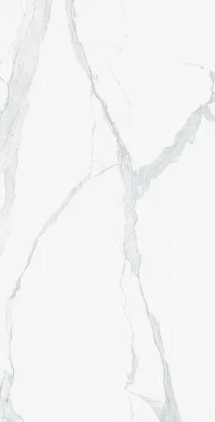 I CLASSICI STATUARIO SOFT 60x120 R