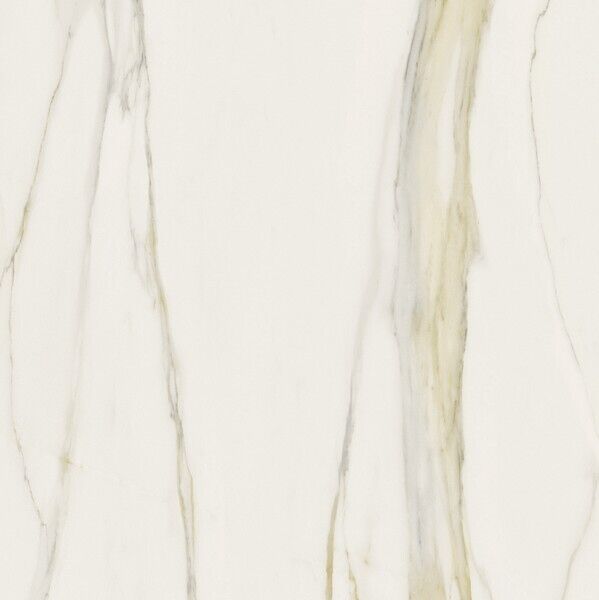 I CLASSICI CALACATTA GOLD 6MM MATTE 120X120 R