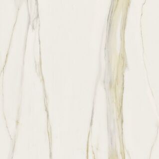 I CLASSICI CALACATTA GOLD 6MM MATTE 120X120 R
