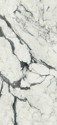 BIJOUX CALACATTA ALTISSIMO BLANC GLOSSY 6MM 120X120 R