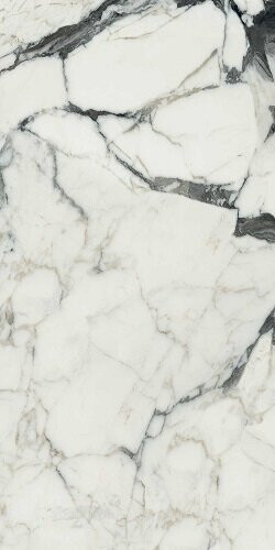 BIJOUX CALACATTA ALTISSIMO BLANC GLOSSY 6MM 60X120 R