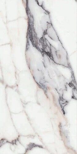 ORIGINES DE REX ARGENT GLOSSY 60X120 RET