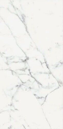 ORIGINES DE REX BLANC GLOSSY 60X120 RETT
