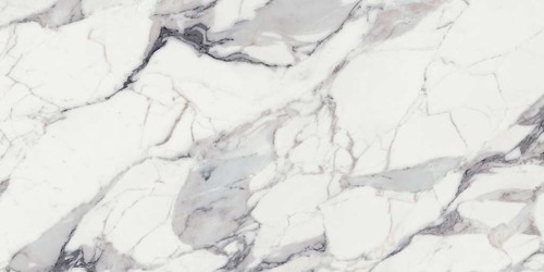 ORIGINES DE REX ARGENT MATTE 6MM 120X240 R