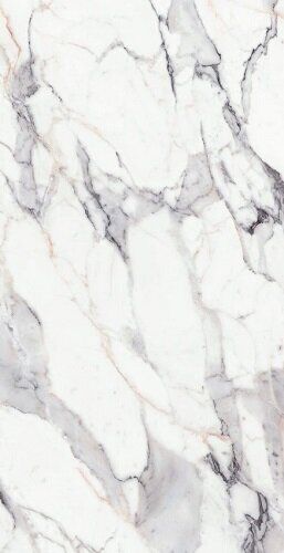 ORIGINES DE REX ARGENT MATTE 6MM 120X280 R