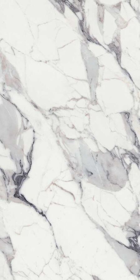 ORIGINES DE REX ARGENT GLOSSY 6MM 120X280 R