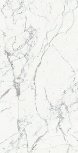 ORIGINES DE REX BLANC GLOSSY 6MM 120X280 R