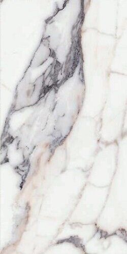 ORIGINES DE REX ARGENT MATTE 6MM 60X120 R
