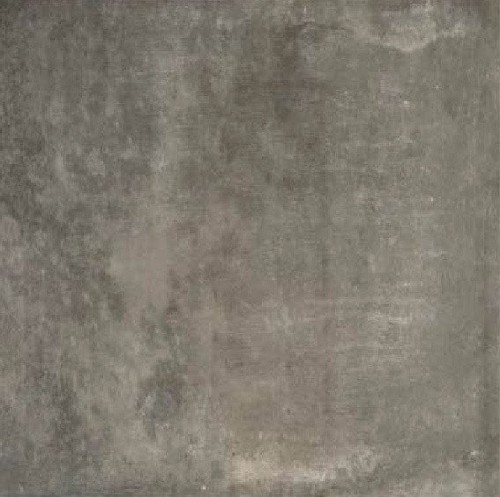 MATI?RES DE REX GRIS 80x80 RET