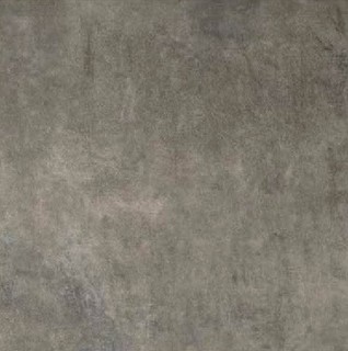 MATI?RES DE REX GRIS 60X60 RET