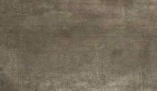 MATI?RES DE REX BRUN 30X60 RET