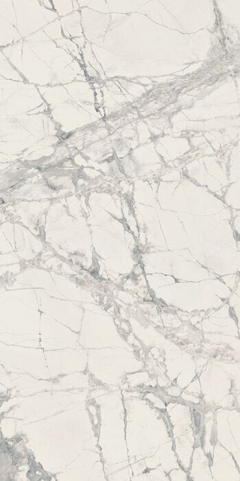 PREXIOUS REX MOUNTAIN TREASURE GLOSSY 60X120R