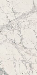 PREXIOUS REX MOUNTAIN TREASURE GLOSSY 60X120R