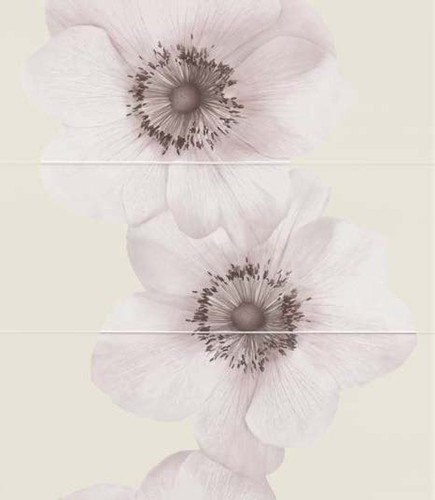 FLOWERS MALVA