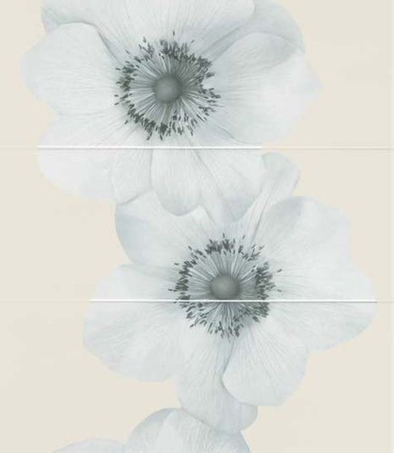 FLOWERS OCEANO