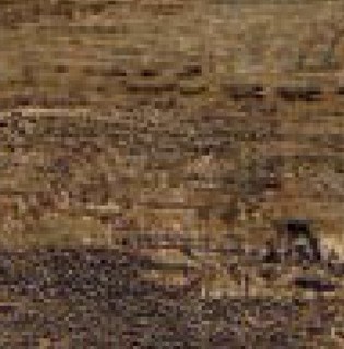 CORTEX BROWN 4545 NR