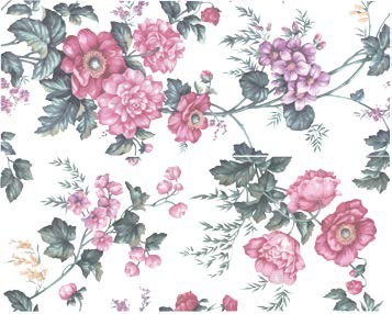 FLOREALE ROSA