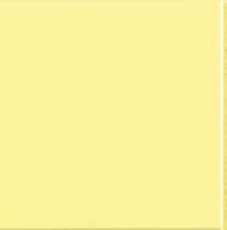 FLEXI 1 YELLOW BRI