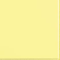 FLEXI 2 YELLOW BRI