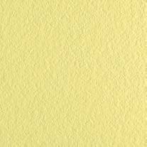 FLEXI B YELLOW MAT