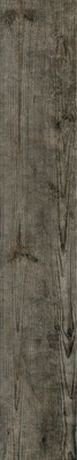 NATURE BROWN 20120