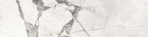 SPIDER WHITE 730