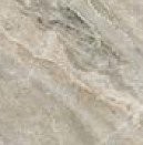 WILD SILVER 4545