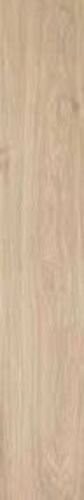 ACANTO MIELE RET(48) 20X120