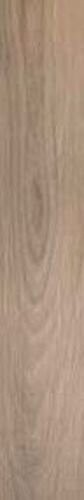 ACANTO ROVERE RET 48 20X120