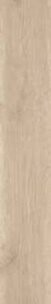 NEW BIRCH RET CL 20X120
