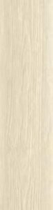 NEW MAPLE RET 30X120