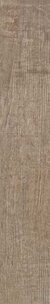 GOLDEN SUNSET RET(48)20X120
