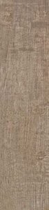 GOLDEN SUNSET RET(30)30X120