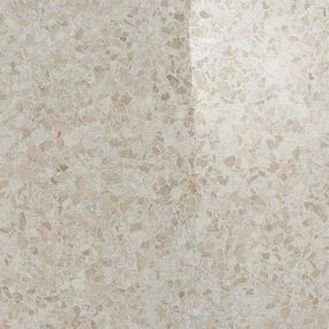 ACCADEMIA BEIGE LAPPATO 47.8X47.8 RETTIFICATO