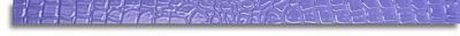 LISTELLO LILLA CROCOJOY 3.8X72