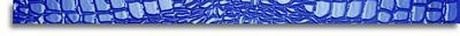 LISTELLO BLUE CROCOJOY 3.8X72