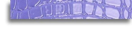 LISTELLO LILLA CROCOJOY 3.8X24
