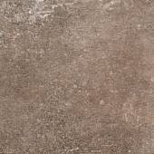 DES ALPES NATURALE 47.8X47.8