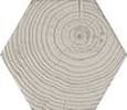 HEXA-STYLE ARBRE IVORY 11X12,6