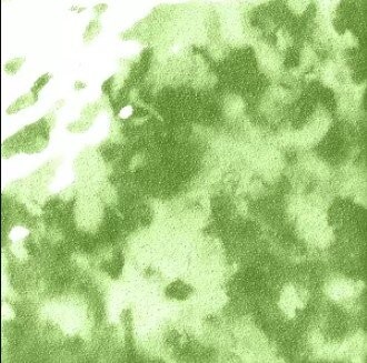 MUSIVA VERDE AVOCADO 18.6X18.6