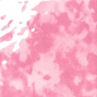 MUSIVA ROSA PEONIA 18.6X18.6