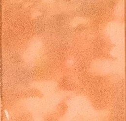 MUSIVA ARAGOSTA 18.6X18.6