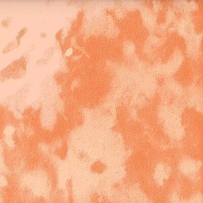 MUSIVA CAROTA 18.6X18.6