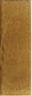 AMBER TRADITIONAL STYLE 15X45