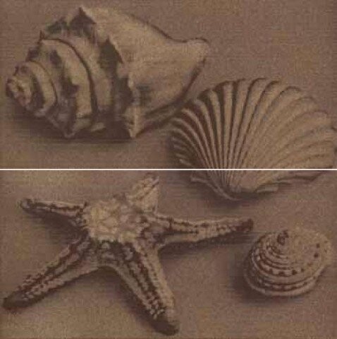 DECORO SEA LIFE MOKA COMP. 2 PZ A+B 29.9X60