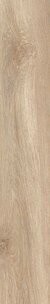 20X120 EVOQUE ROVERE R11 NAT/RET