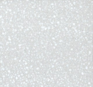 LASTRA FINITA 1657 CALLE GRIGIA, 29,85x 29,85 CM
